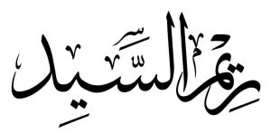 Reem Elsayed (ريم السيد المتولي)