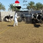تسجيل حالتي وفاة و16 إصابة جديدة بالحمى النزفية