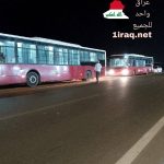 وزارة النقل، تخصيص باصات لمرافقة قوافل الزوار المتوجهين سيرا على الاقدام إلى كربلاء المقدسة